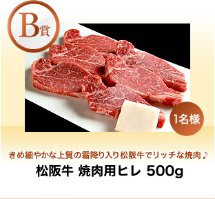 【B賞】きめ細やかな上質の霜降り入り松阪牛でリッチな焼肉♪『松阪牛 焼肉用ヒレ 500g』1名様