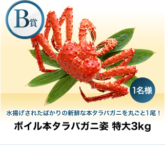 【B賞】水揚げされたばかりの新鮮な本タラバガニを丸ごと1尾！『ボイル本タラバガニ姿 特大3kg』1名様