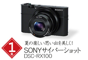 SONYサイバーショットDSC-RX100 1名