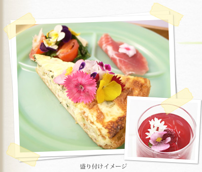 食べられる本物のお花　エディブルフラワー